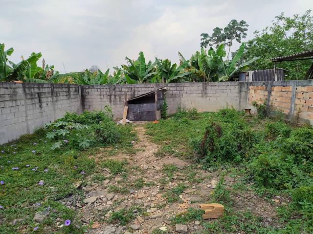 #55 - Casa para Venda em Tremembé - SP - 3