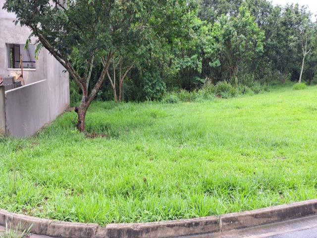 #69 - Área para Venda em Tremembé - SP - 1