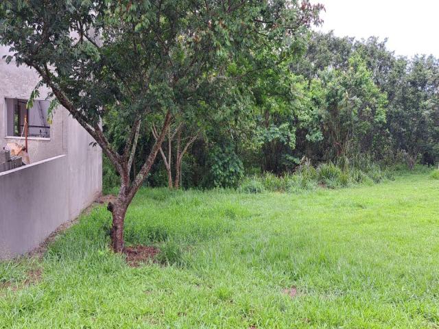 #69 - Área para Venda em Tremembé - SP - 2